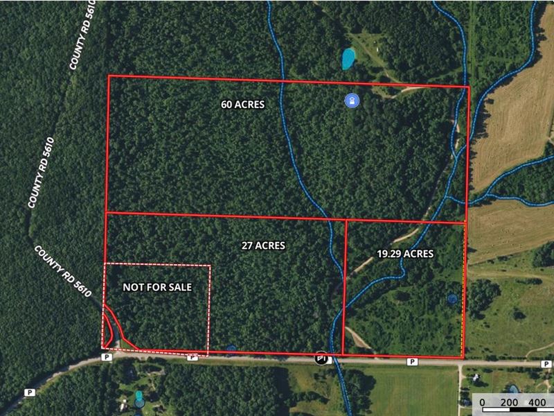 Wooded Acreage in Howell Co. MO : Willow Springs : Howell County : Missouri