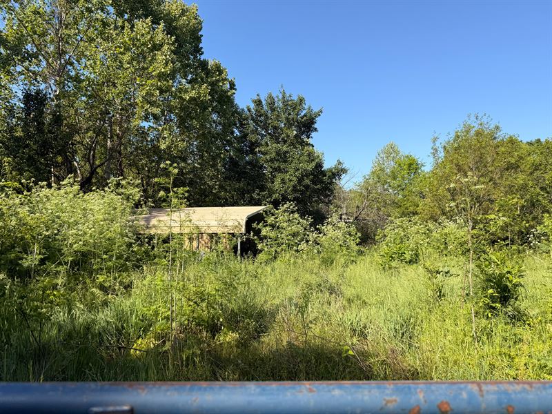 Land for Sale in Texas County MO : Elk Creek : Texas County : Missouri
