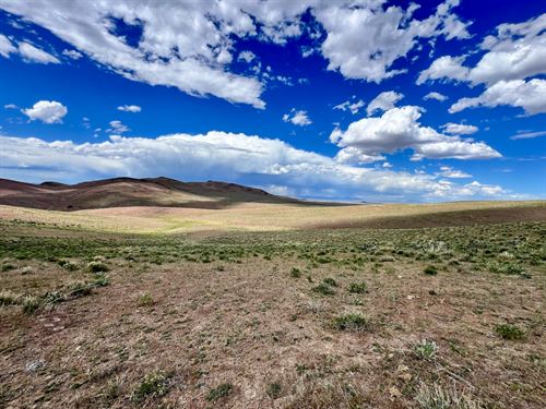 Versatile Raw Land : Elko : Nevada