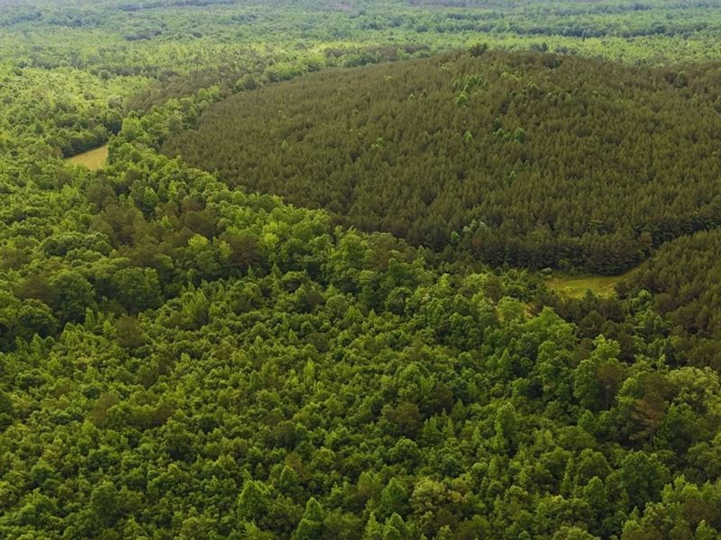 472 Acres in Monroe County in Green : Greenwood Springs : Monroe County : Mississippi