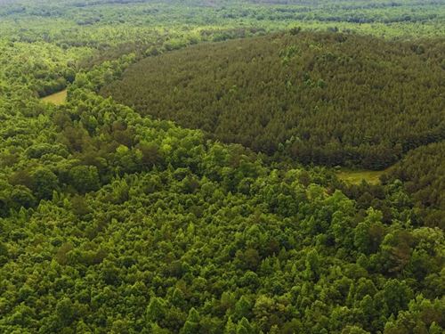 472 Acres in Monroe County in Green : Greenwood Springs : Monroe County : Mississippi