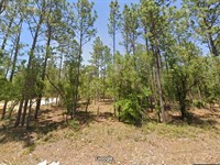 Say Goodbye to Rent $299 Down : Dunnellon : Marion County : Florida