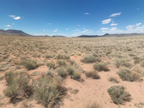 5 Acres Colorado- RV or Camp : Mesita : Costilla County : Colorado