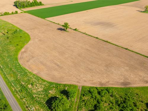 16.15 Acres Clark County : Stanley : Clark County : Wisconsin
