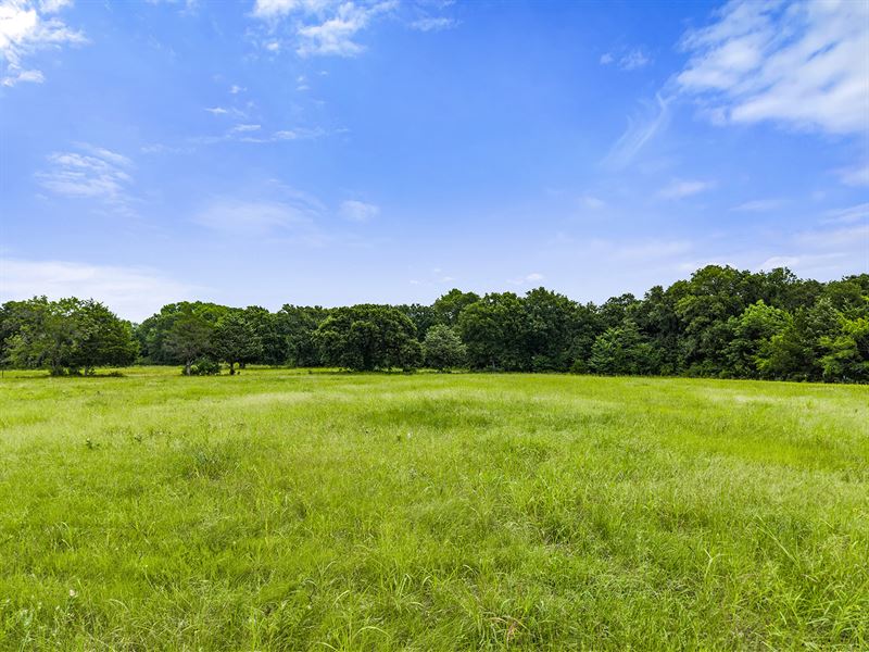 10+ Acres in Rains County, Texas : East Tawakoni : Rains County : Texas