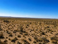 Double Your Arizona Space : Holbrook : Apache County : Arizona