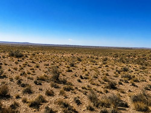 Double Your Arizona Space : Holbrook : Apache County : Arizona