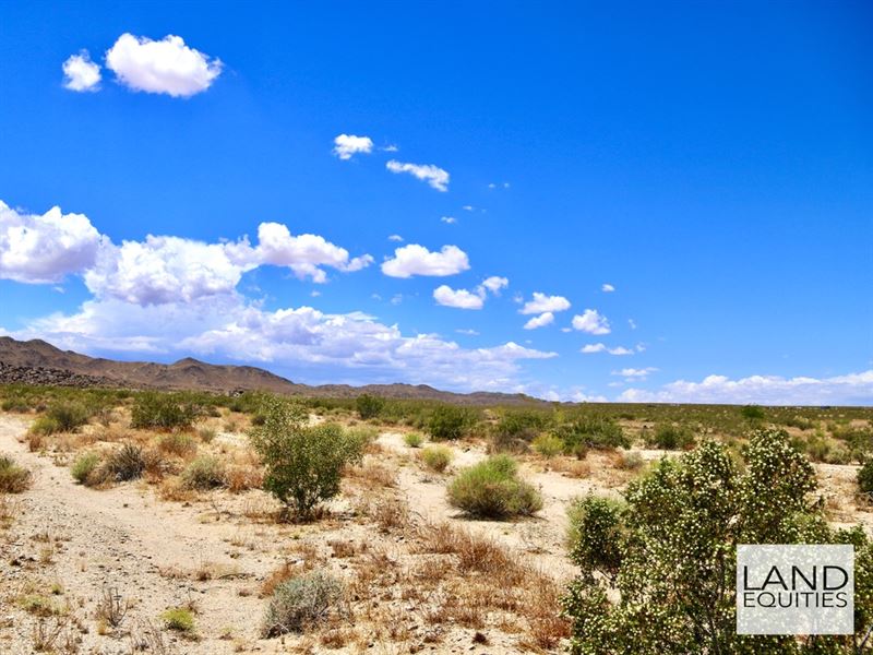 Secluded Lot Near Copper Mountains : Joshua Tree : San Bernardino County : California