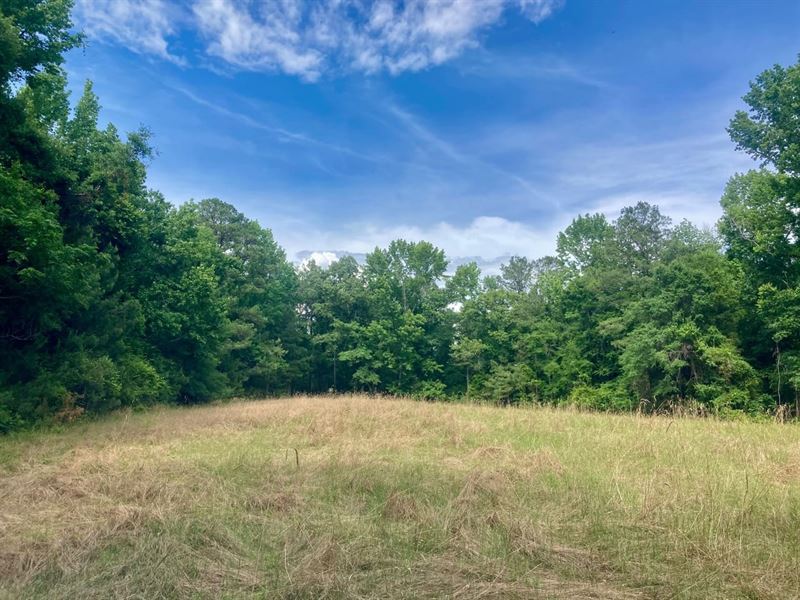 40 Acres, Macon Co, Little Texas 40 : Little Texas : Macon County : Alabama