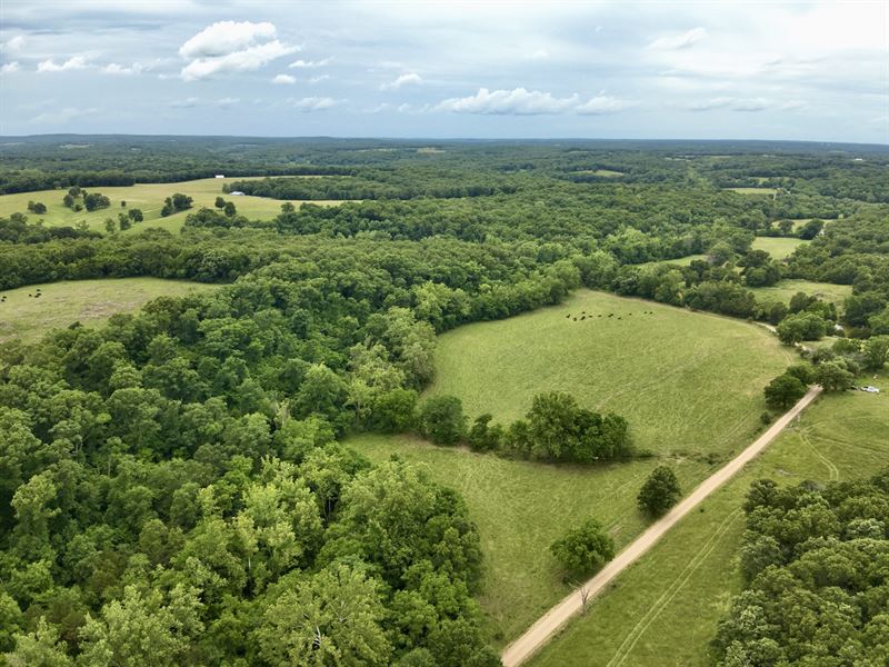 Degenhardt 55 : Dixon : Maries County : Missouri