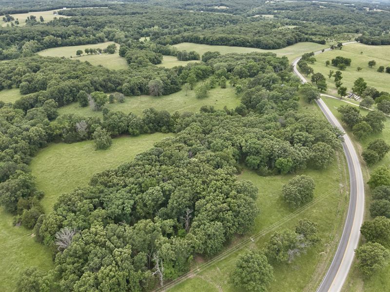Degenhardt 45 : Meta : Maries County : Missouri