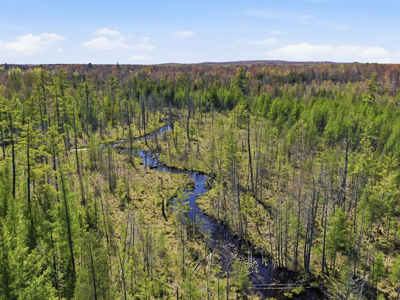 Heald Creek 80 : White Cloud : Newaygo County : Michigan