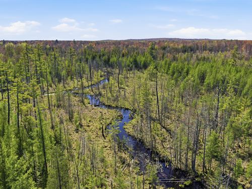 Heald Creek 80 : White Cloud : Newaygo County : Michigan