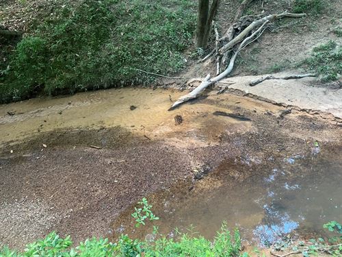 42.75 Acres in Amite County, MS : Liberty : Amite County : Mississippi