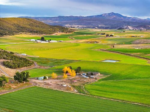 Elk Ridge Ranch, Bostwick Park Hor : Montrose : Colorado