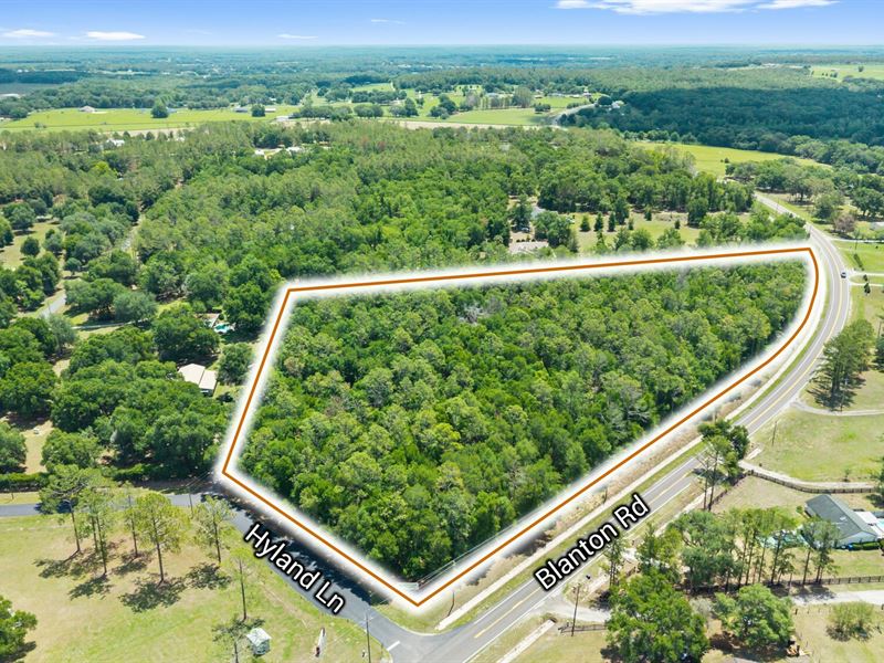 Blanton Road 7.38 Acre : Dade City : Pasco County : Florida