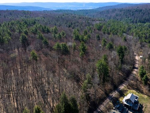 Wooded Homesite Near State Forest : Bainbridge : Chenango County : New York