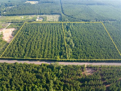 27 Acres, T-3, Highway 10, Louis : Pitkin : Vernon Parish : Louisiana