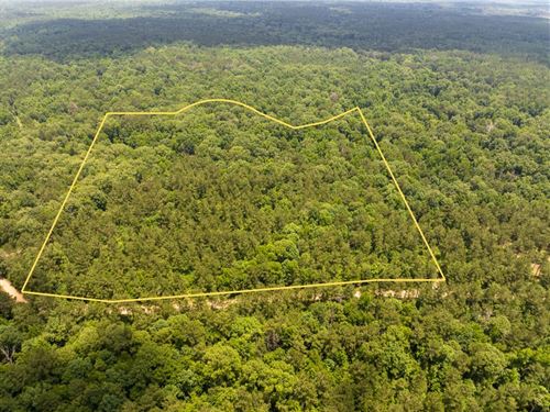 63 Acres, T-3, Posey Webb Camp Rd : Jonesville : Catahoula Parish : Louisiana