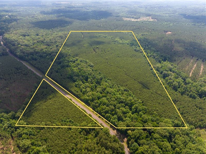 78 Acres, Highway 126, Louisiana : Olla : Lasalle Parish : Louisiana