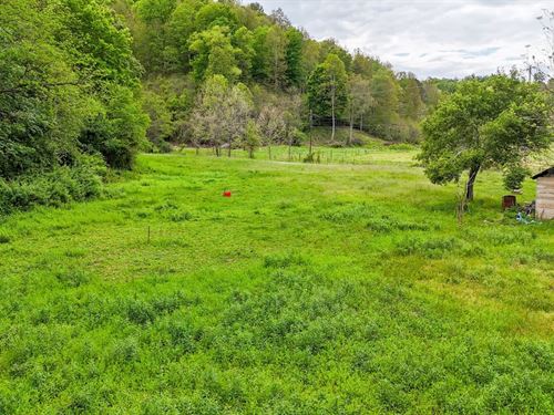 91.58 Acres, Bee Hollow Rd, Gree : Greenup : Kentucky