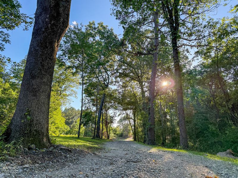5-Acre Mini Farm for Sale, Dade Co : Trenton : Dade County : Georgia