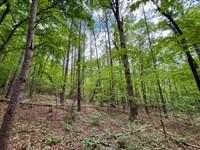 Bremen 20, Cullman County AL : Bremen : Cullman County : Alabama