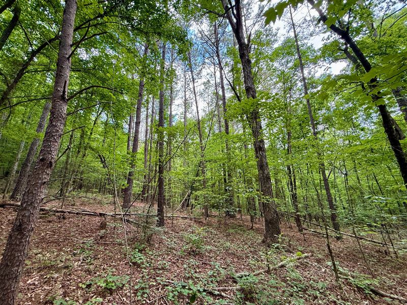 Bremen 20, Cullman County AL : Bremen : Cullman County : Alabama