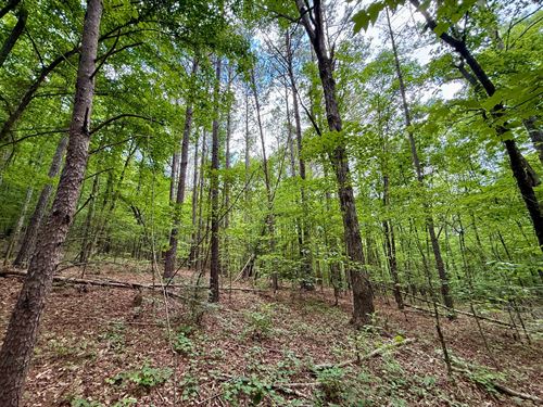 Bremen 20, Cullman County AL : Bremen : Cullman County : Alabama