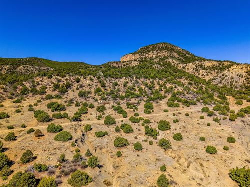 19 Ponderosa Hills. Borderi : Trinidad : Las Animas County : Colorado
