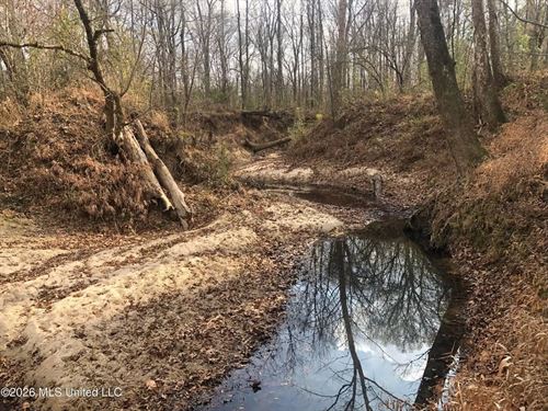 88.5 Acres Hunting & Timber Land fo : Utica : Hinds County : Mississippi