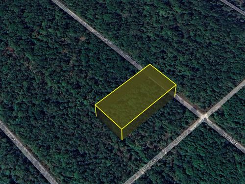 Big Acreage, No HOA, $199 Down : Flagler Estates : Flagler County : Florida
