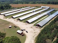 12 House Broiler Poultry Farm : Eastman : Dodge County : Georgia