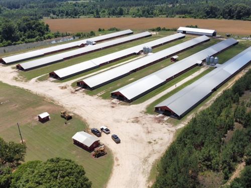 12 House Broiler Poultry Farm : Eastman : Dodge County : Georgia