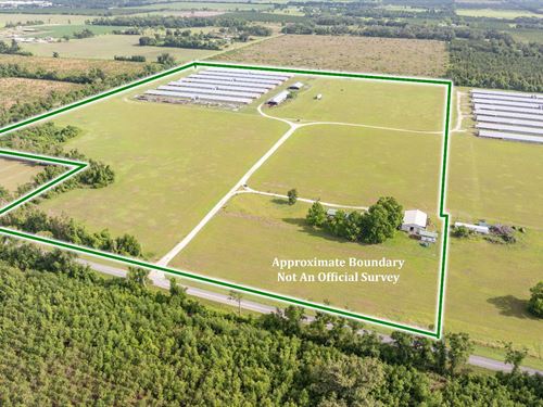 33.20 Acre Poultry Farm : Mayo : Lafayette County : Florida