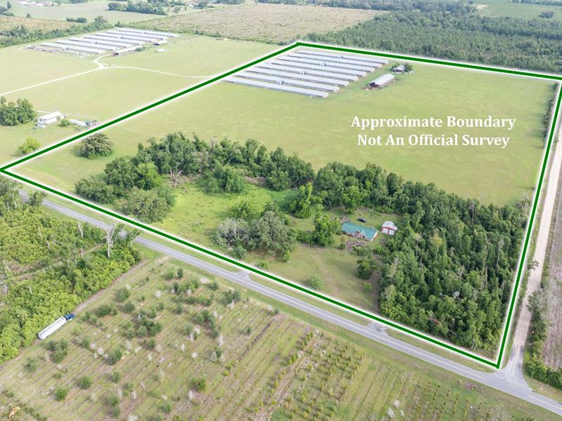 67.56 Acre Farm : Mayo : Lafayette County : Florida