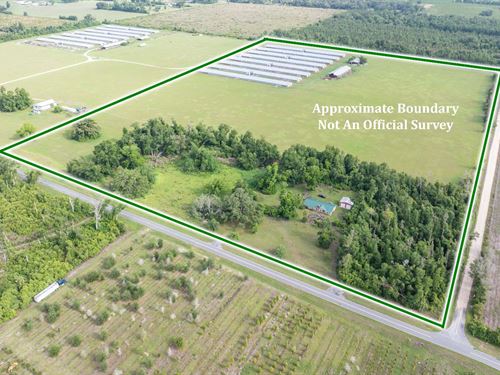 67.56 Acre Farm : Mayo : Lafayette County : Florida