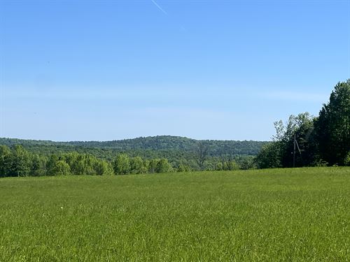Southern Tier Woods & Meadow : Guilford : Chenango County : New York