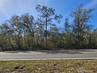 Build Your Florida Dream : Interlachen : Putnam County : Florida