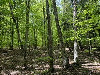 Build Your Dream Cabin : Chester : Warren County : New York