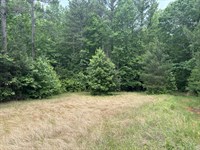 Bobby Faucette Tract : Jonesville : Union County : South Carolina
