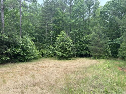 Bobby Faucette Tract : Jonesville : Union County : South Carolina
