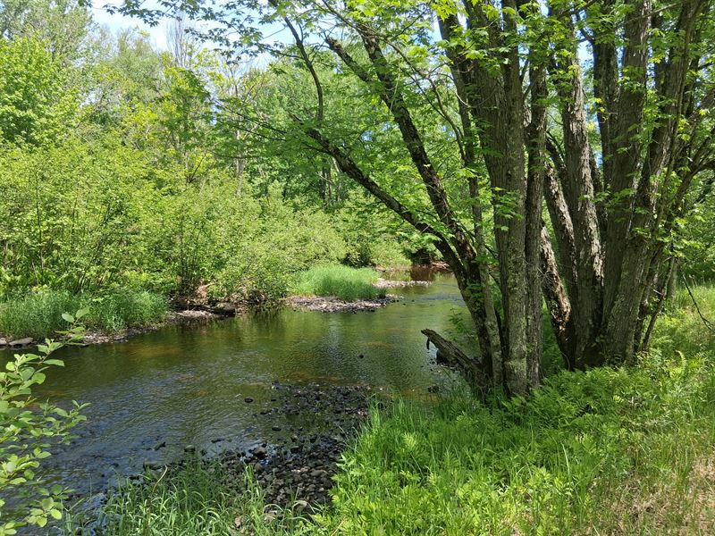 10 Acres with 400' Waterfront : Tripoli : Lincoln County : Wisconsin