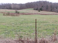 Hunting, Cattle, Farming & Homesite : Horse Cave : Hart County : Kentucky