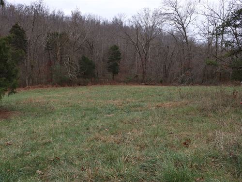 Hunting Homesite & Farmering : Horse Cave : Hart County : Kentucky