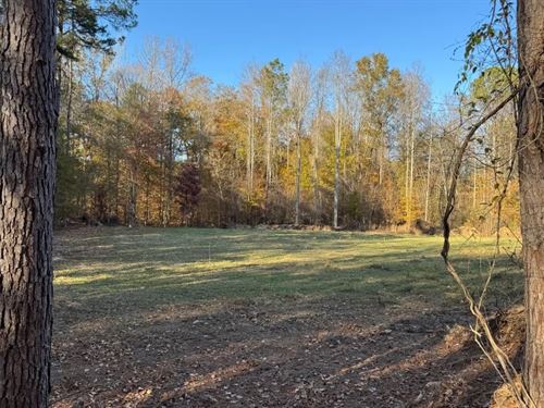41.9 Acres, Germanys Ferry Road : Daviston : Tallapoosa County : Alabama