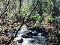 40 Ac, Eclectic, AL : Eclectic : Elmore County : Alabama