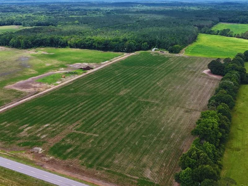 382 Acres in Choctaw County in Eupo : Eupora : Choctaw County : Mississippi