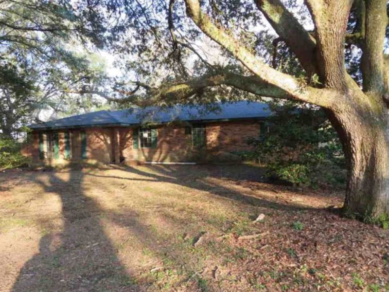 3.43 Ac in Independence, LA : Independence : Tangipahoa Parish : Louisiana