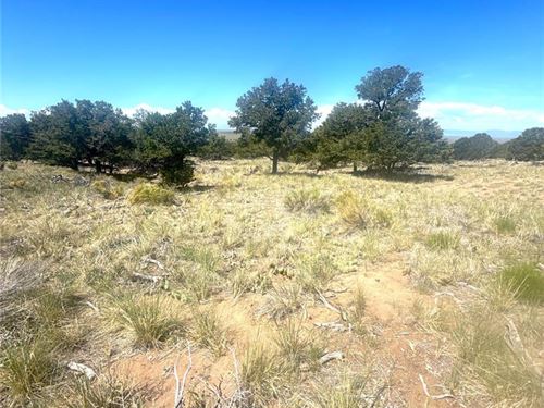 The Beauty and Serenity of Crestone : Crestone : Saguache County : Colorado